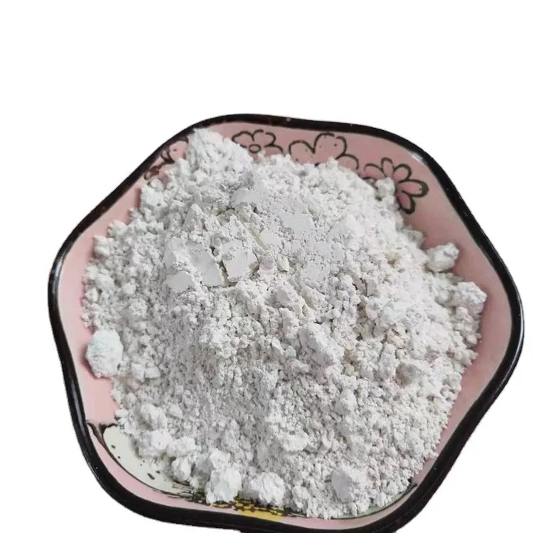 ไดอะตอมไมท์